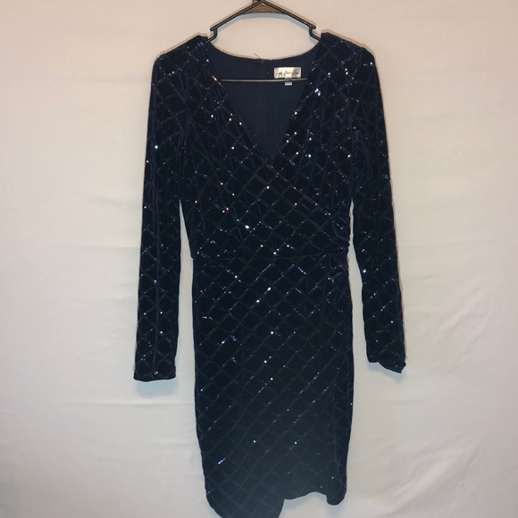 Gorgeous Velvet, Sequin Dress - Picture 2 of 8